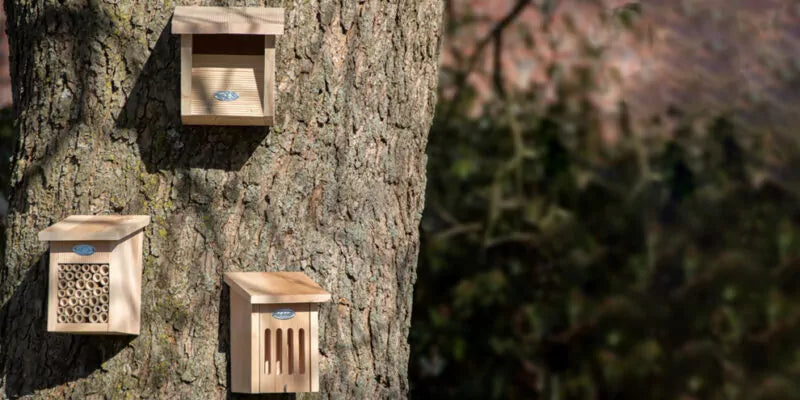 Verschillende soorten insectenhotels!