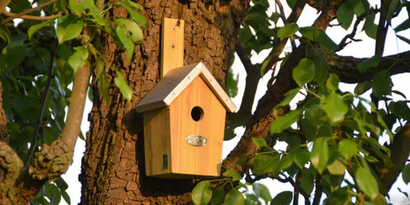 Vogelhuisje ophangen? Zo moet het!