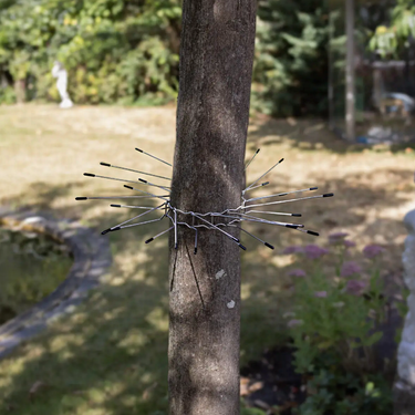 Kattenafweergordel voor bomen