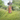 Notensilo met eikel dop