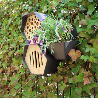 vlinderkastje en bijenhuis met plantenbak