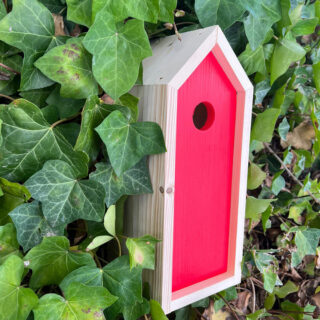 kastje voor vogels met rood frontje in bossage