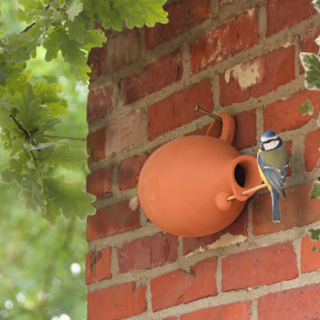 vogelpot met pimpelmees aan muur