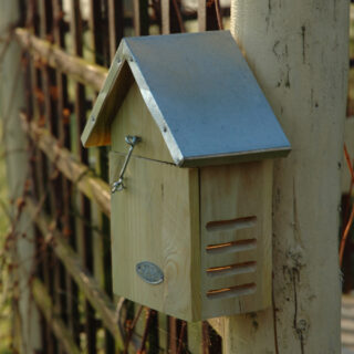 Lieveheersbeesthuisje - Naturel sfeer