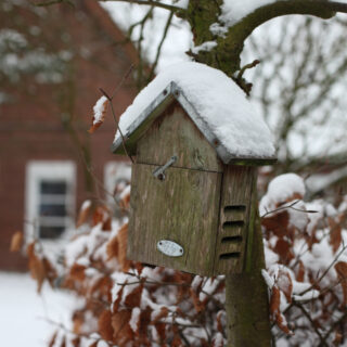 Lieveheersbeesthuisje - Naturel sfeer