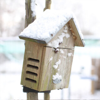 Lieveheersbeesthuisje - Naturel sfeer