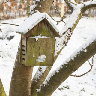 Lieveheersbeesthuisje - Naturel sfeer