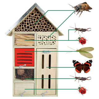 Insectenhuis - XL