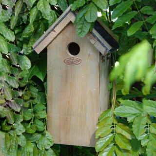 vogelhuisje in bossage