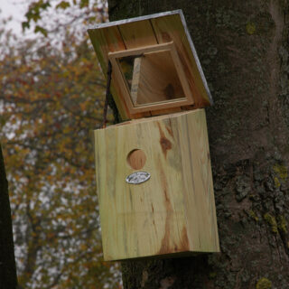 Vogelhuisje aan boom met spiegeldak