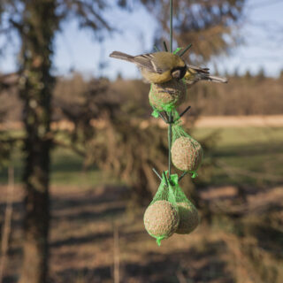 vogelvoederhaak sfeer