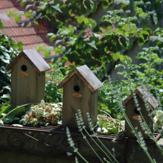 Vogelhuisje - Koper S sfeer