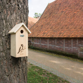 Vogelhuisje - Koolmees silhouet sfeer