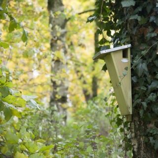 Vogelhuisje - Boomkruiper Basic sfeer