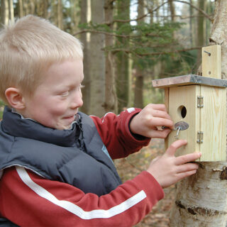 Vogelhuisje - Winterkoning Basic sfeer