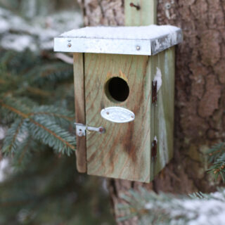 Vogelhuisje - Winterkoning Basic sfeer