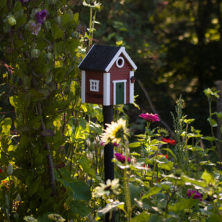 rode multiholk op paal in de tuin