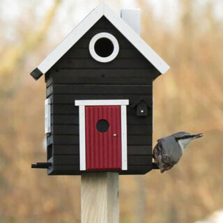 Svart Hus vogelkast op paal