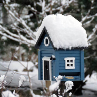 blauw vogelhuisje in de sneeuw