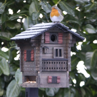 Vogel/voederhuisje - Multiholk Fjällstugan-sfeer