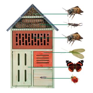 Insectenhuis met steen - XL