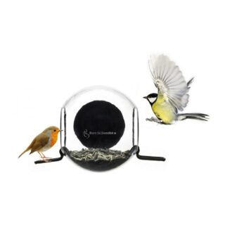 Birdfeeder-4752