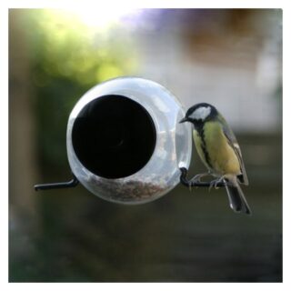 Birdfeeder-4754