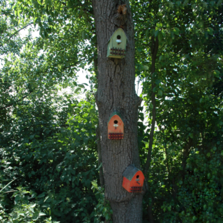 gekleurde vogelhuisjes met zinken dak