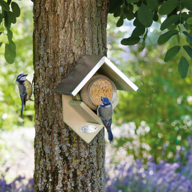 twee pimpelmezen eten vogelpindakaas uit pindakaaspot