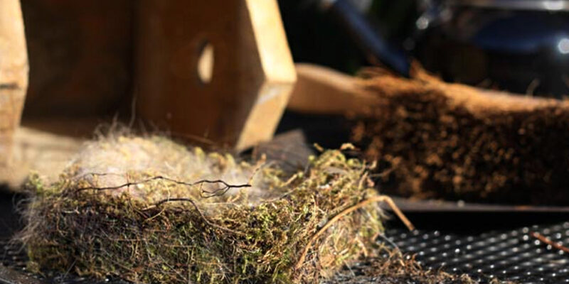 oude nestresten worden verwijderd uit vogelhuis