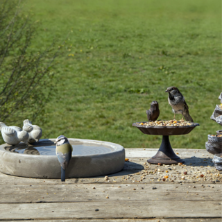 vogelbaden met water en vogelvoer en meerdere vogeltjes