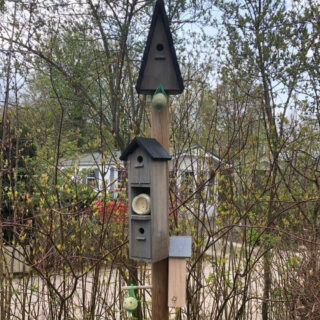 huisjes voor vogels aan een houten paal voor takken