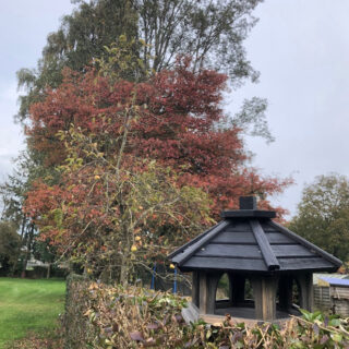 tuinhuis vormig voederhuisje met zwart dak in struik