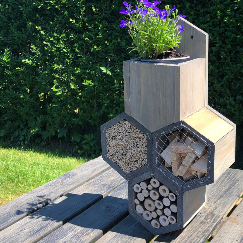 tafel met daarop een insectenhuisje met plantenbakje erop