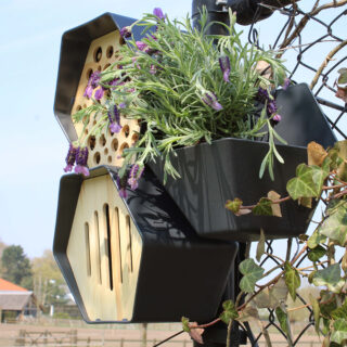 muur met klimop met plantenbak, bijenhuis en vlinderkast in hexagon vorm