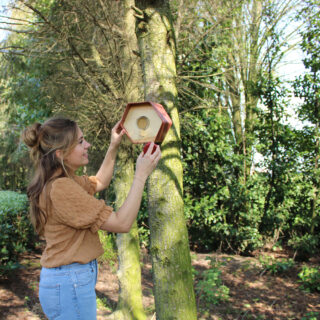 meisje hangt pindakaas houder in boom