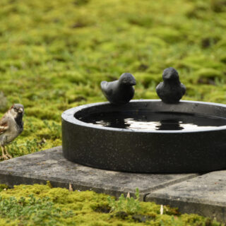 mos en tegels met een een terrazzo schaal met water