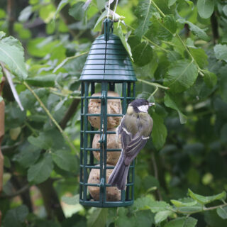 Vetbollenhouder met drie vetbollen en een vogeltje eraan