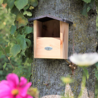 half open nestkast met zwart dak aan boom