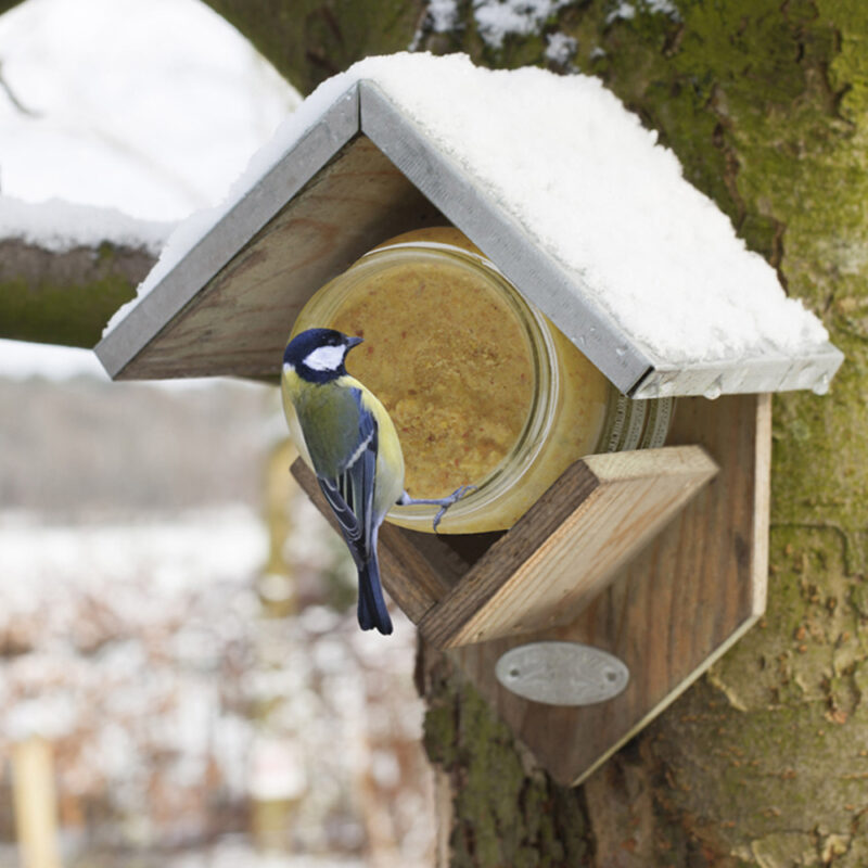 koolmees eet pindakaas uit een pindakaashuisje met sneeuw erop