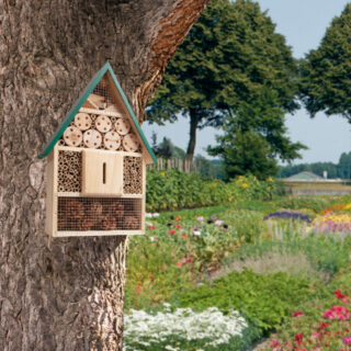 insectenhuis met groen dak aan boom